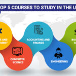 Top 5 Courses to Study in the UK